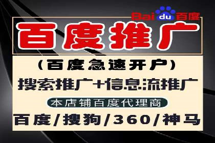 某科技公司如何利用百度竞价排名服务提升品牌知名度